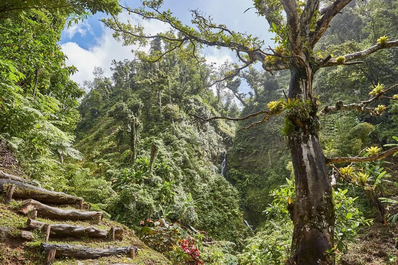 Intercontinental Dominica Cabrits Resort & Spa By Ihg Portsmouth