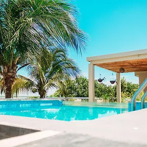 book here